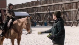 The Last of Us {Hindi} - Season 02 Episode 01